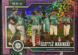 Team Card