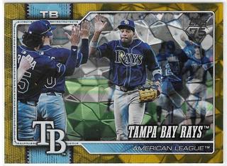 Team Card
