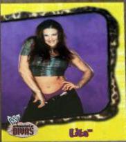 Lita #29 Wrestling Cards 2002 Fleer WWE Absolute Divas
