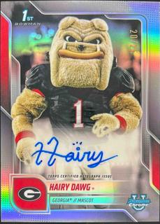 Hairy Dawg