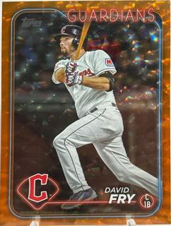 David Fry