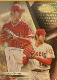 Shohei Ohtani