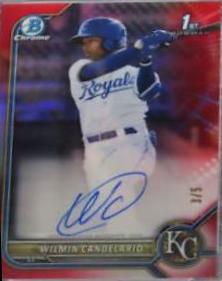 Wilmin Candelario