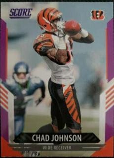 Chad Johnson
