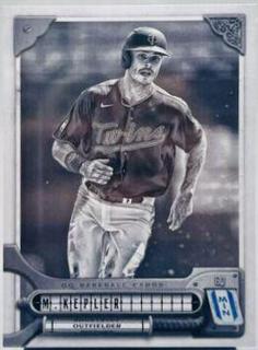 Max Kepler