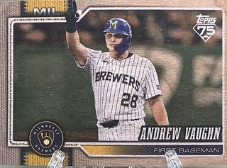 Andrew Vaughn