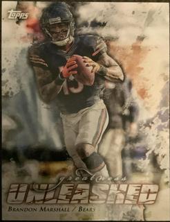 Brandon Marshall