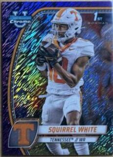 Squirrel White