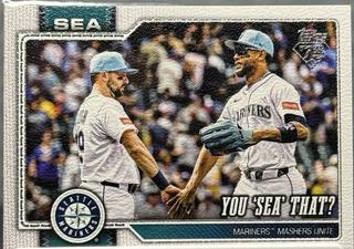 You 'Sea' That?