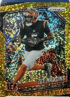 Tee Higgins