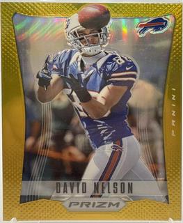 David Nelson