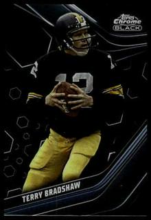 Terry Bradshaw