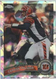 Carson Palmer