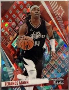 Terance Mann