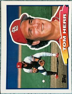 Tom Herr