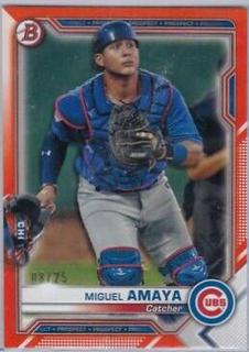 Miguel Amaya