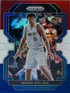 Wang Zhi-zhi
