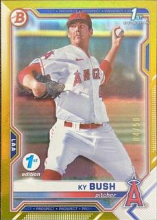 Ky Bush