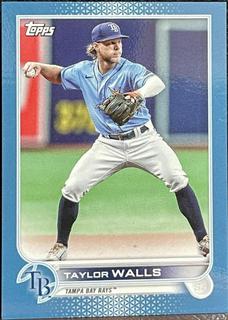 Taylor Walls