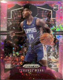 Terance Mann