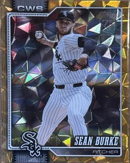 Sean Burke