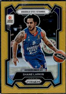 Shane Larkin