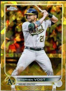 Stephen Vogt