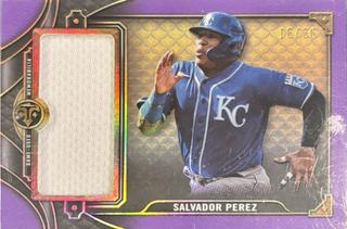 Salvador Perez