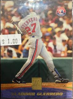 Vladimir Guerrero