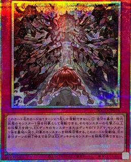 Quadogmatika Beast DOOD-JP078