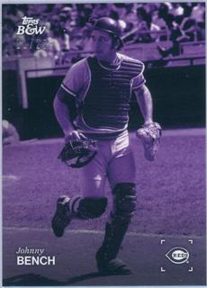 Johnny Bench