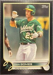 Yan Gomes