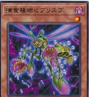 Predaplant Byblisp DIFO-JP017
