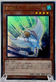 White Stingray VJMP-JP134