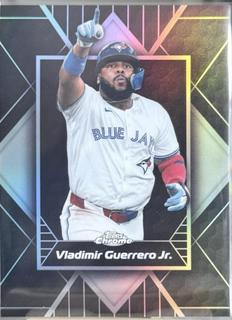 Vladimir Guerrero Jr.