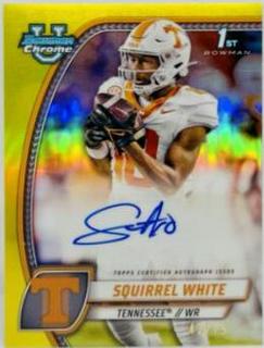 Squirrel White