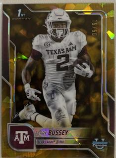 Terry Bussey