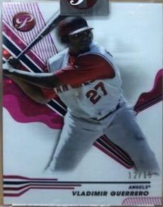Vladimir Guerrero