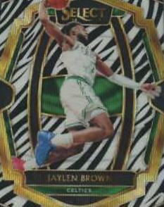 Jaylen Brown
