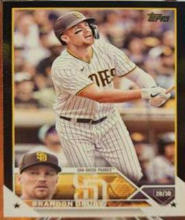Brandon Drury