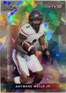 Antwane Wells Jr.