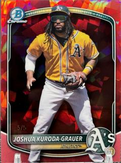 Joshua Kuroda-Grauer