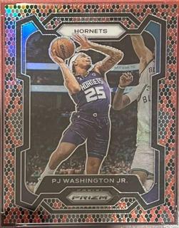 PJ Washington Jr.