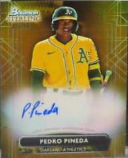 Pedro Pineda