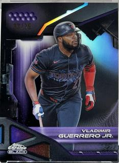 Vladimir Guerrero Jr.