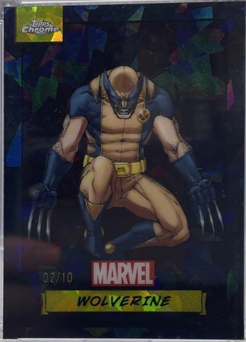 2024 Wolverine [Black Sapphire] #88