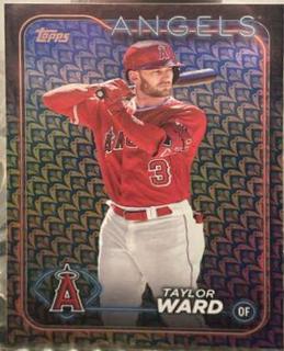 Taylor Ward