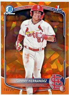 Sammy Hernandez