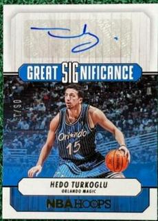 Hedo Turkoglu