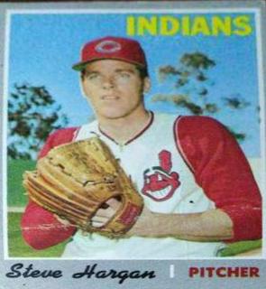 Steve Hargan